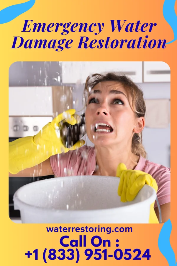 Emergency Water Damage Restoration in Bombay Beach, CA